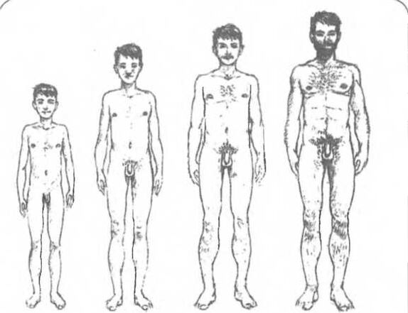 Penio dydis priklauso nuo amžiaus